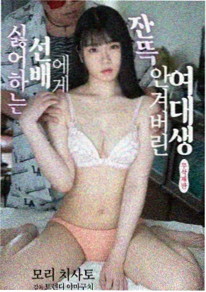 黑白密码·新章 6090新视觉电视剧网